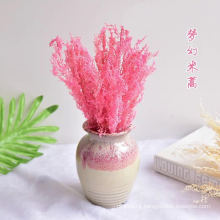 Factory price dried edible cheap dried flowers dried pressed flowers